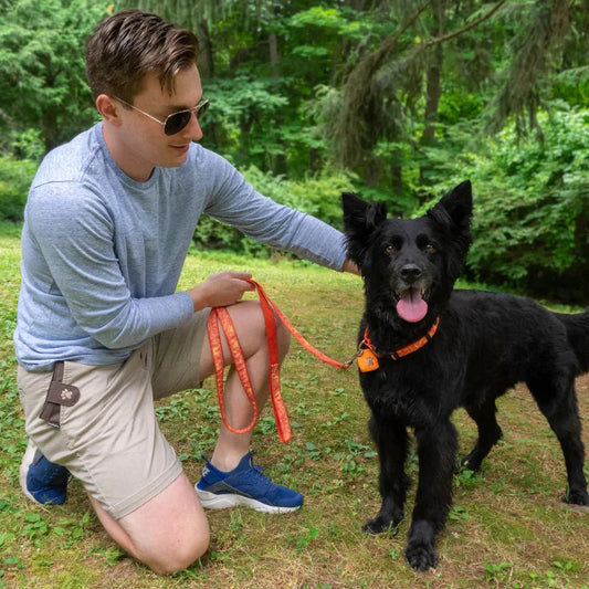 Batik Designed Dog Leashes Modernized - Woofhoof