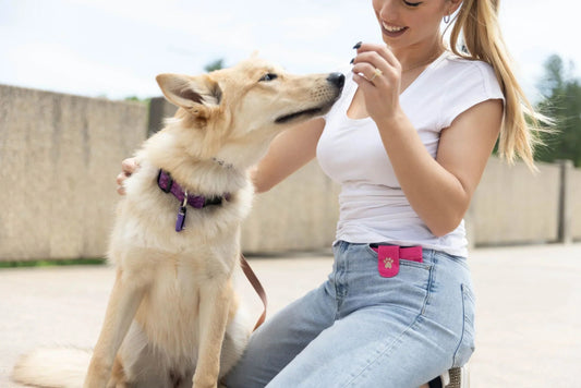 Bring Peace Back To Your Home With Dog Tag Silencers - Woofhoof