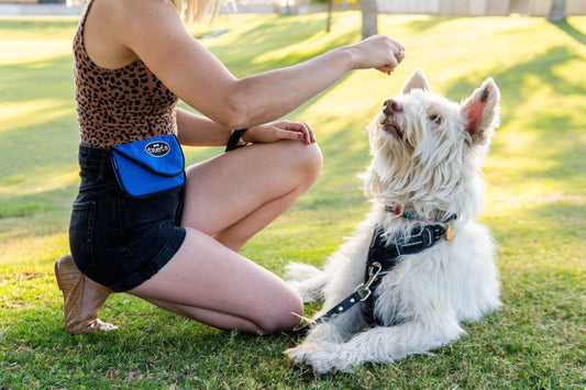 Elevate Your Training Game: Find The Perfect Dog Treat Pouch - Woofhoof