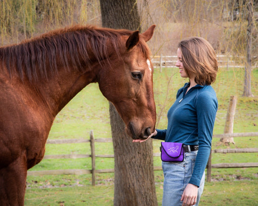 Enhance Your Bond: Training Horses with Treats & The Perfect Horse Treat Bag - Woofhoof