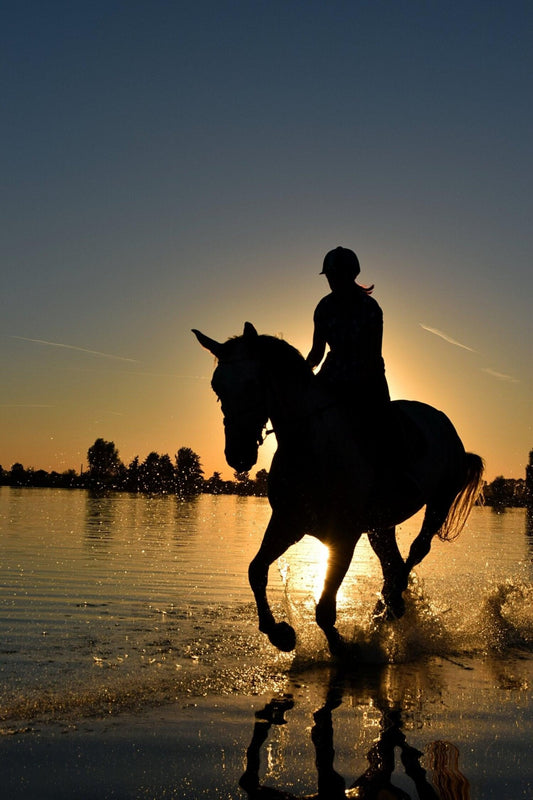 Trail Riding Essentials To Be Safe On the Trail - Woofhoof