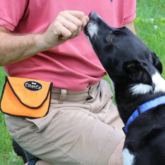 Training Your Furry Companions With Our Dog Treat Reward Pouch - Woofhoof