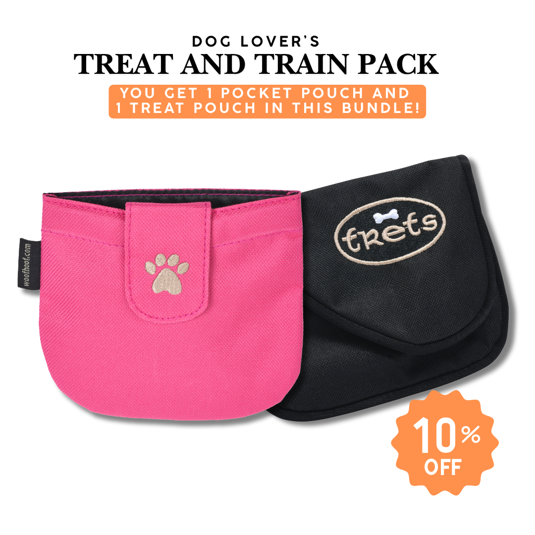 Dog Lovers Treat & Train Bundle
