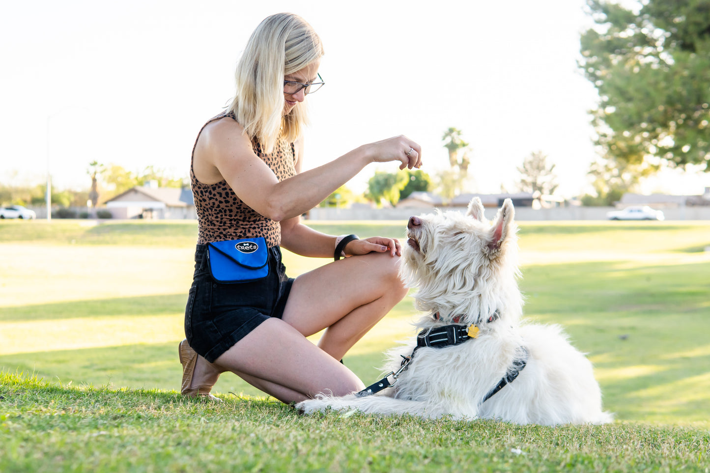 Dog Lovers Treat & Train Bundle