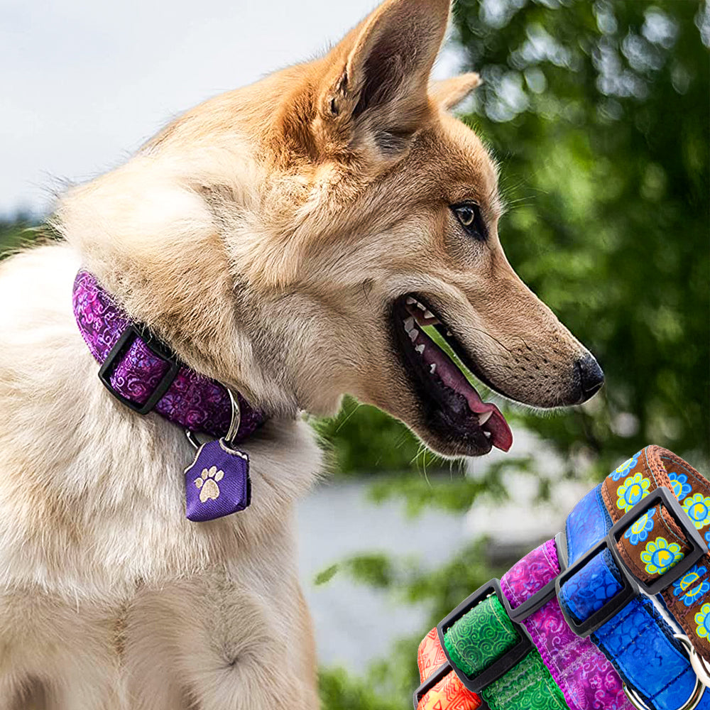The Dog Lover Bundle