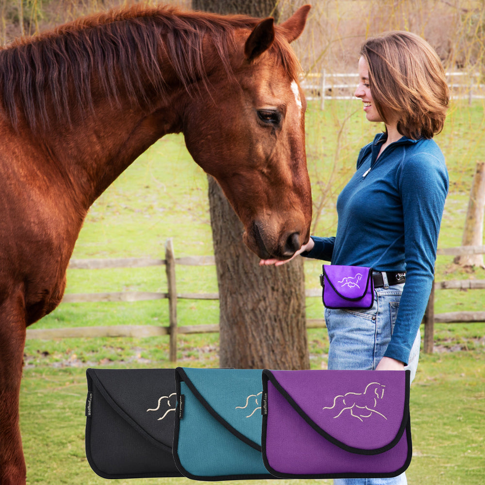 The Horse Lovers Bundle