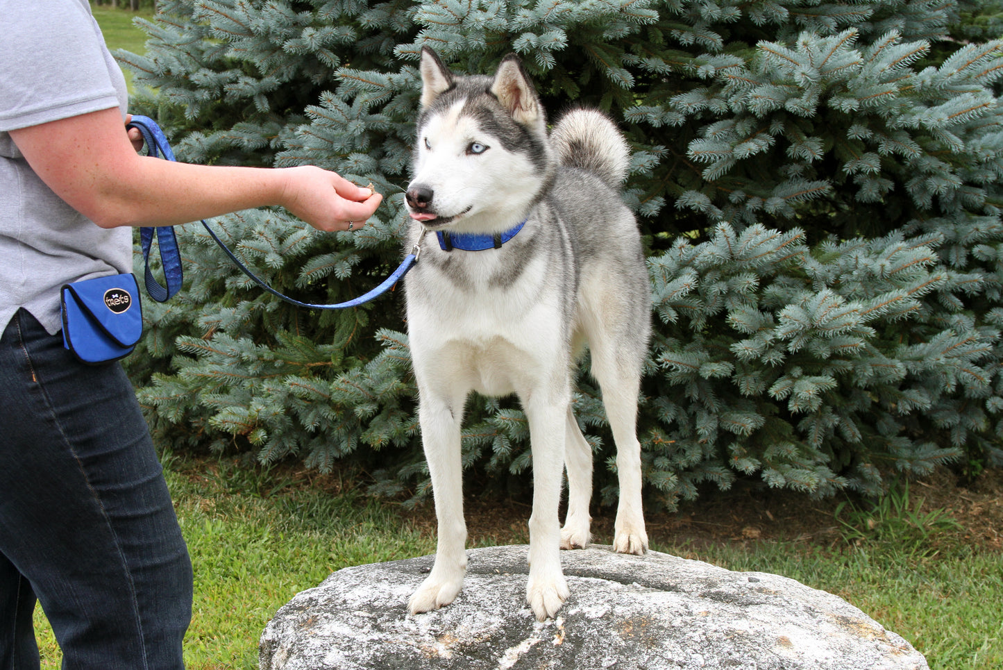 Dog Lovers Treat & Train Bundle
