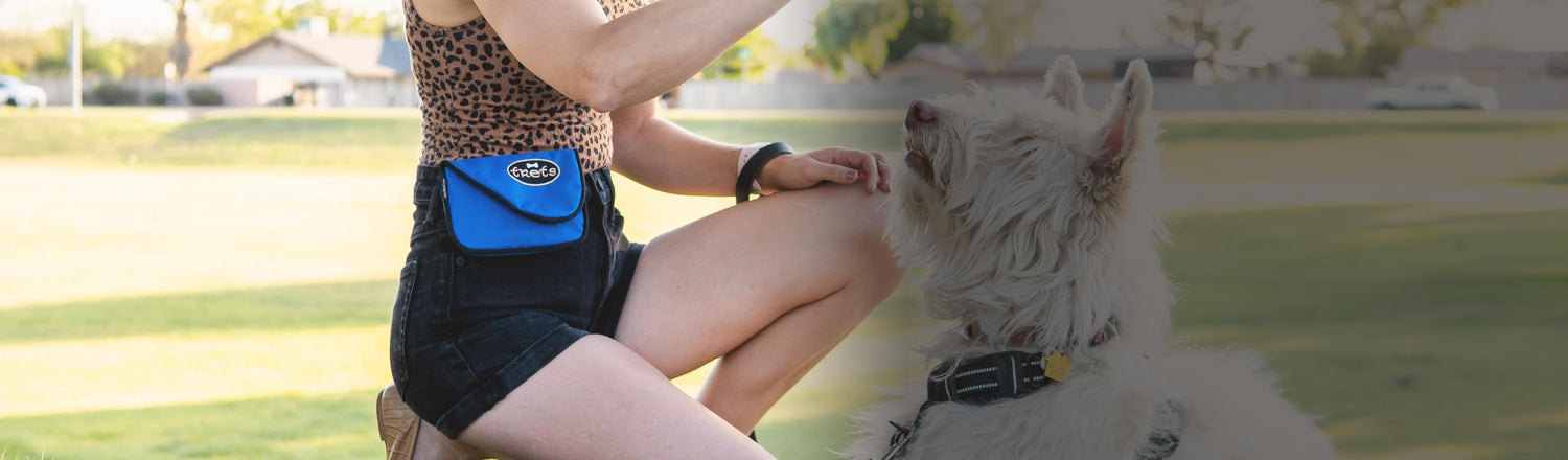 Blue dog treat pouch with woman and white dog