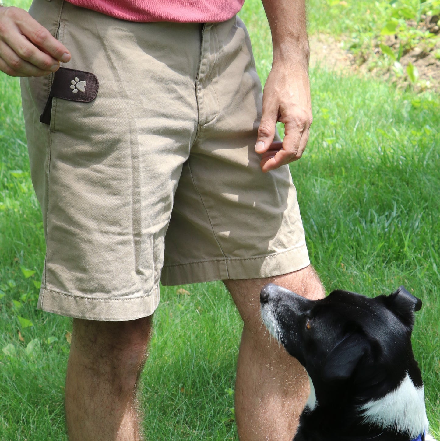 Dog Lovers Treat & Train Bundle