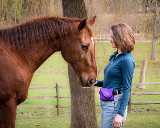 Enhance Your Bond: Training Horses with Treats & The Perfect Horse Treat Bag
