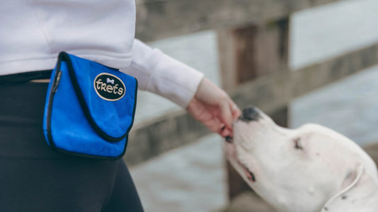 Dog Walking And Training Made Easy With Dog Treat Pouches - Woofhoof