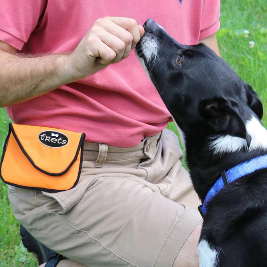 Training Your Furry Companions With Our Dog Treat Reward Pouch - Woofhoof