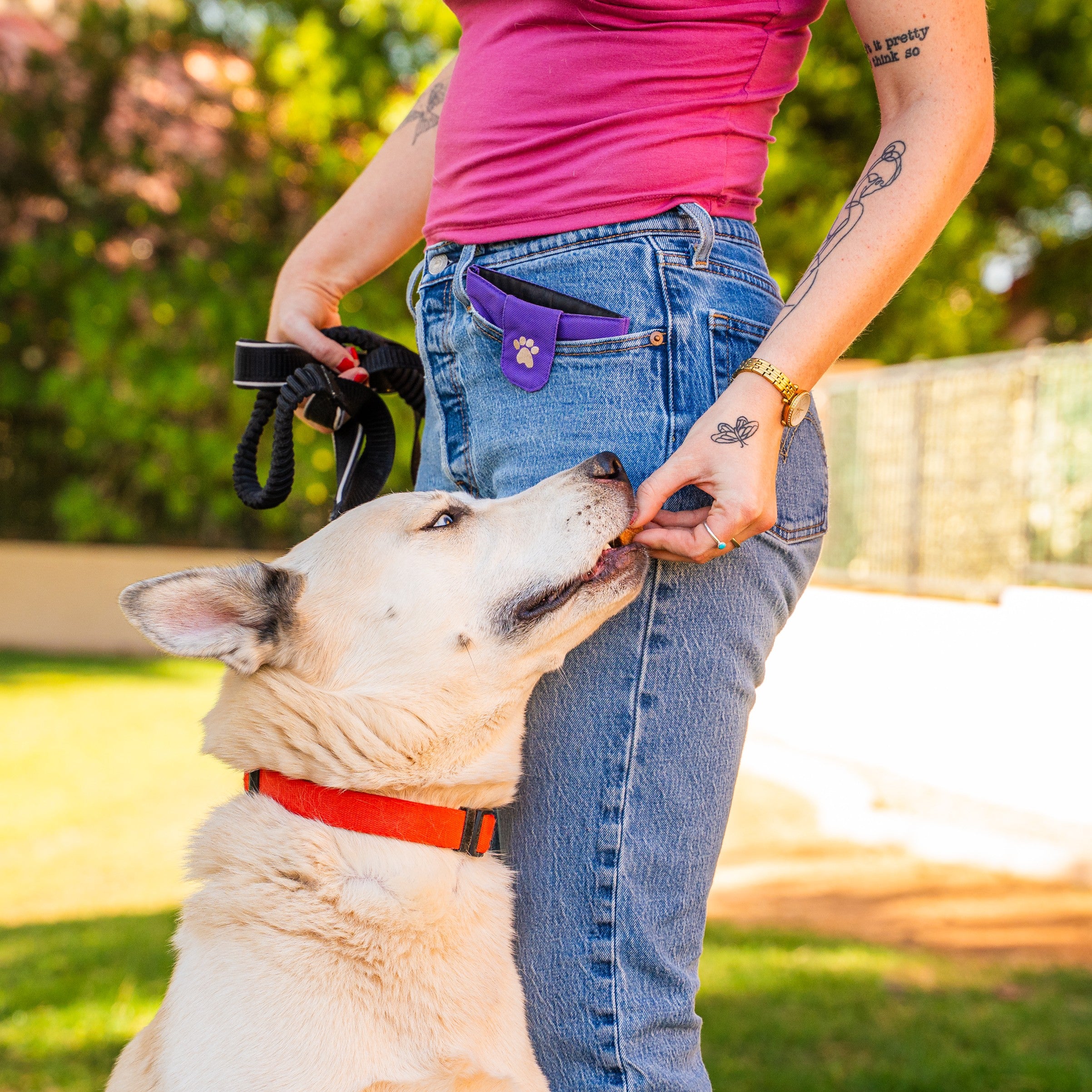dog-treat-pocket-pouch