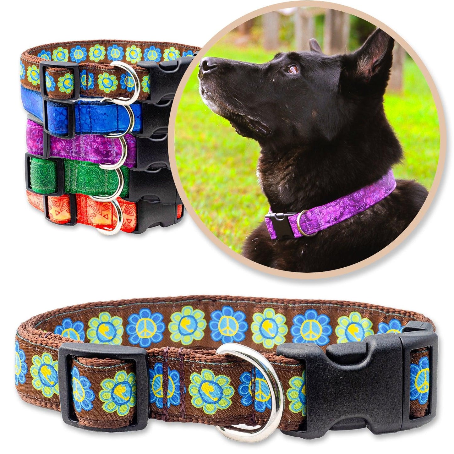 Brown dog collars with flowers shown with a black dog