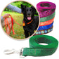 Green batik inspired leash shown with a black dog and variety of colors and styles