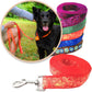 Orange batik inspired leash shown with a black dog and variety of colors and styles