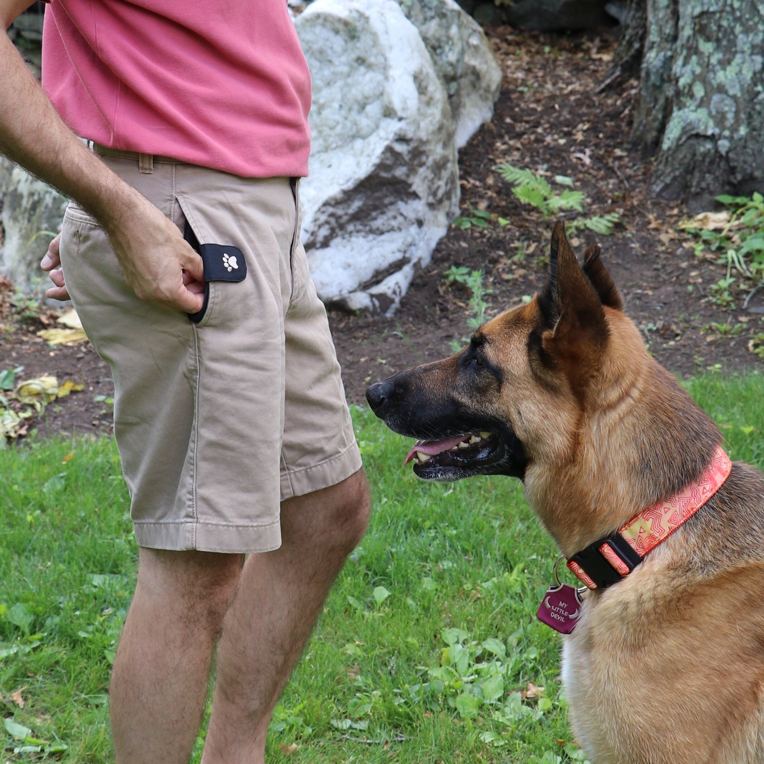 Man wearing a black pocket treat pouch next to a german shepherd dog
