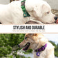 Green and purple dog tag silencers shown on two dogs