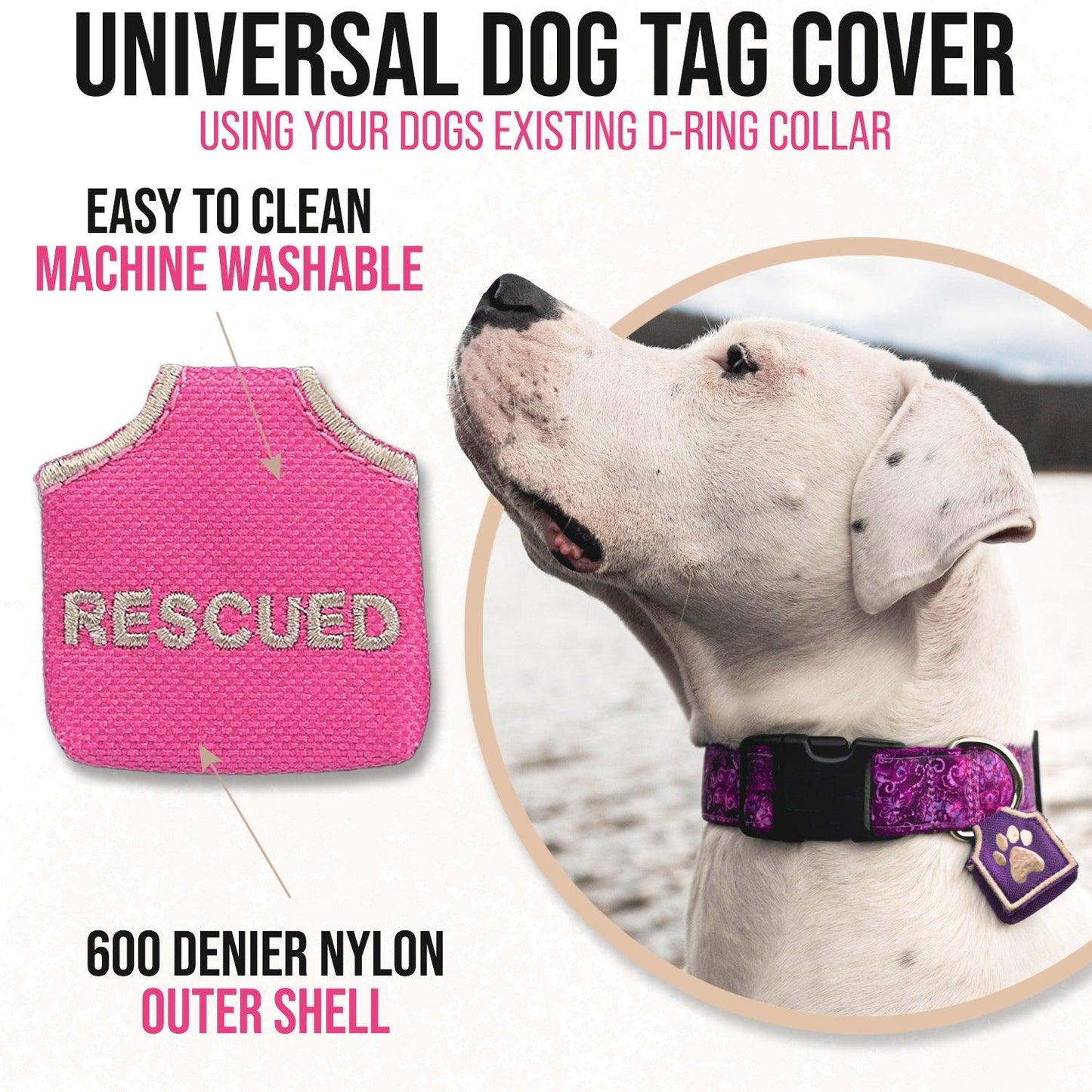 Pink dog tag silencer and while dog with purple pet tag cover